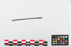 Foto von Bronzenagelreiniger (NHMW-PRAE-024108)